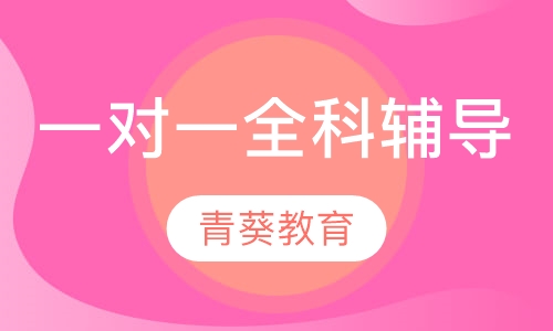 一对一全科辅导