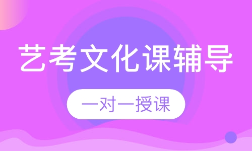 艺考文化课一对一辅导