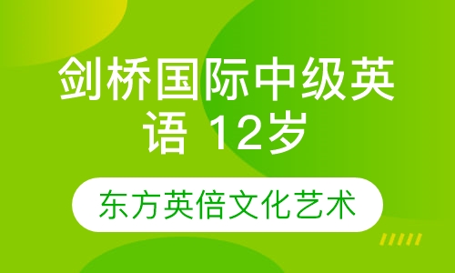 剑桥国际中级英语 12岁以上