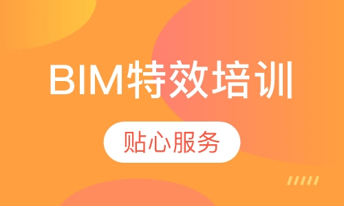 BIM特效培训