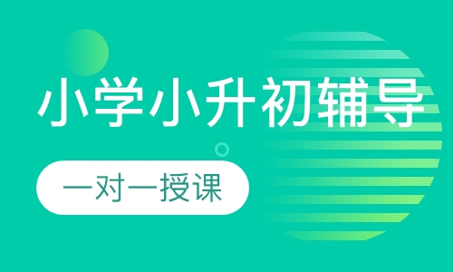 小学一对一小升初辅导