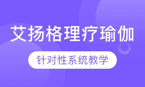 艾扬格辅助理疗瑜伽