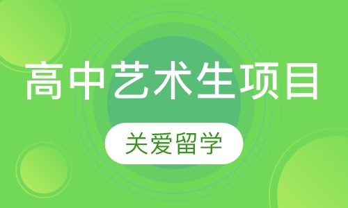高中艺术生项目