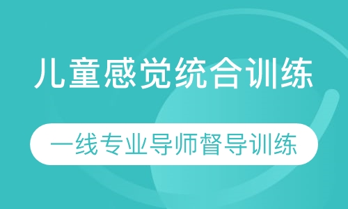 儿童感觉统合训练
