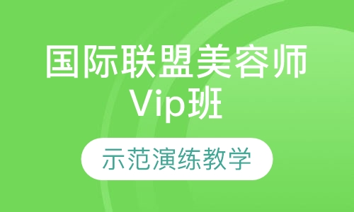 国际联盟师Vip班.贴身弟子教学全科