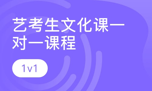 艺考生文化课一对一课程