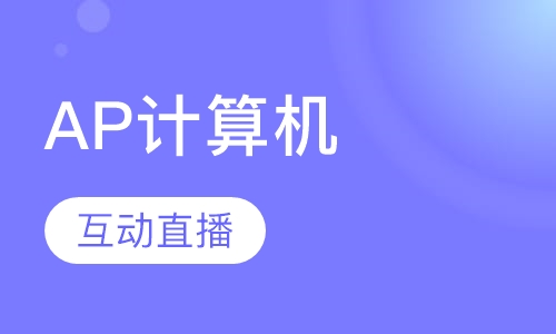 AP计算机一对一