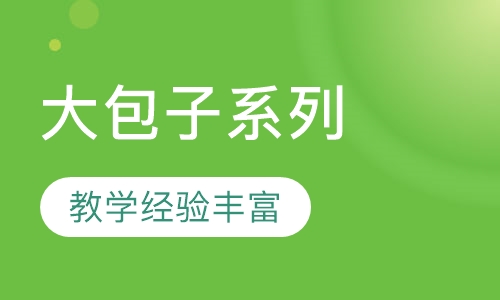 大包子系列