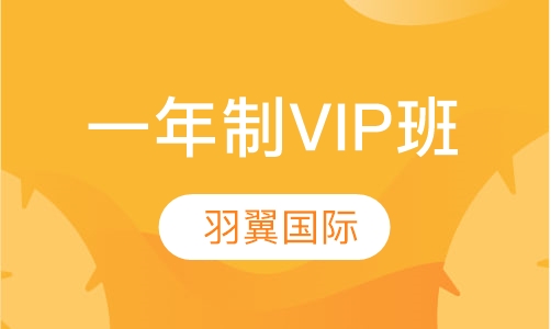 羽翼国际一年制VIP班
