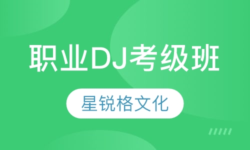 职业DJ考级班
