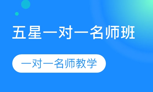 五星一对一名师班