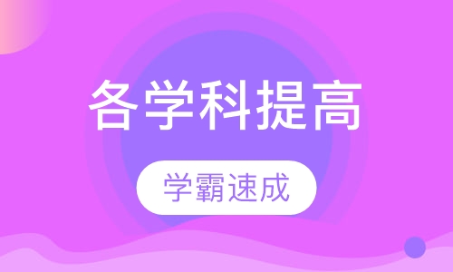 各学科提高班