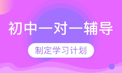初中一对一辅导