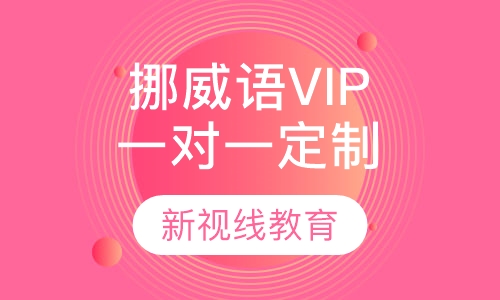 挪威语VIP一对一定制课程