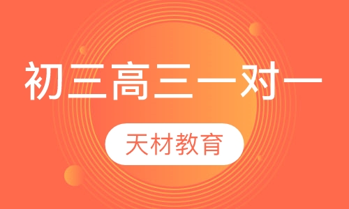 初三/高三一对一辅导