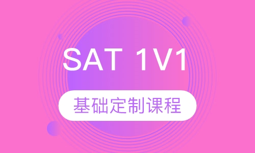 SAT 1V1 基础定制精品课程