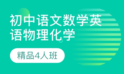 初中语文数学英语物理化学精品4人班