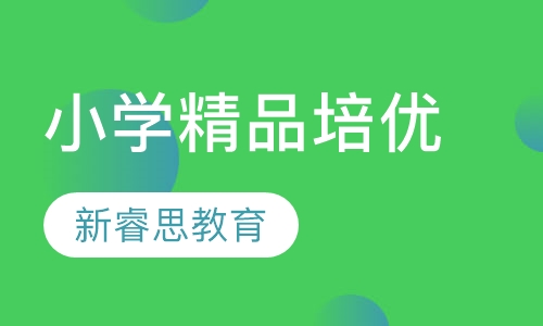 小学暑期精品培优课程