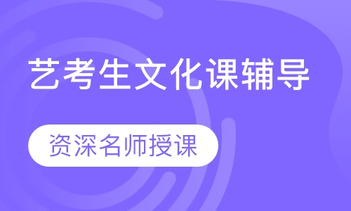 艺考生文化课辅导