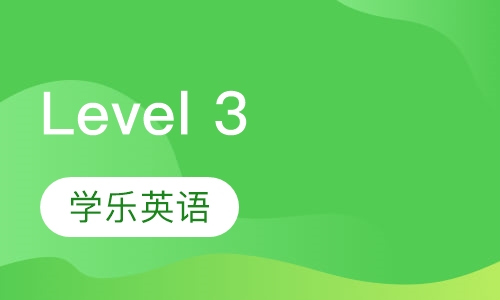Level 3