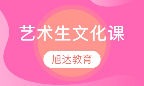 艺术生文化课辅导
