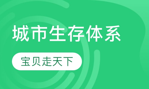 城市生存体系