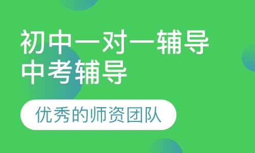 初中一对一辅导中考辅导