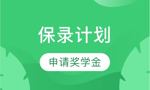VIP精英保录计划
