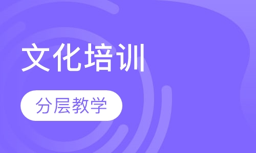 文化培训