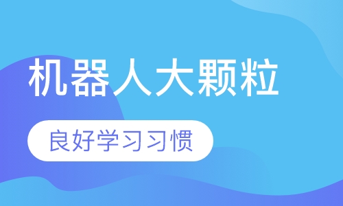机器人大颗粒课程