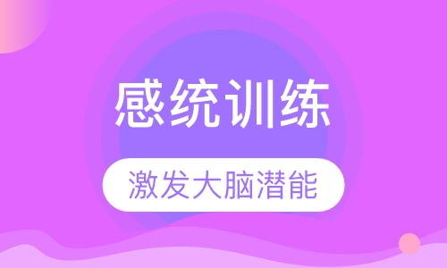 5-8岁儿童感觉统合一对一