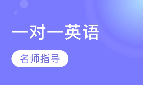 一对一名师指导