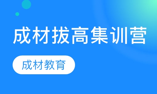 小学/初中/高中成材拔高集训营