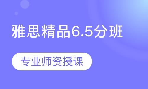 雅思精品6.5分班