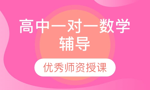 高中一对一数学辅导