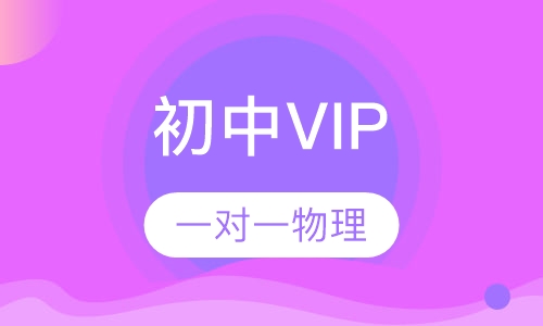 初中VIP一对一物理
