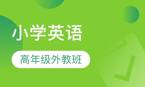 小学高年级外教小班