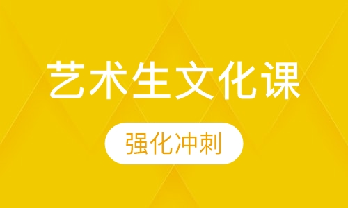 艺术生文化课