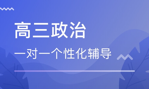 高三政治一对一辅导