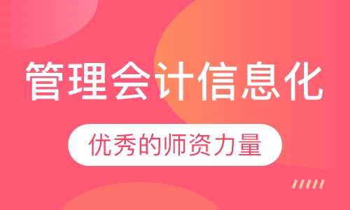 管理会计信息化