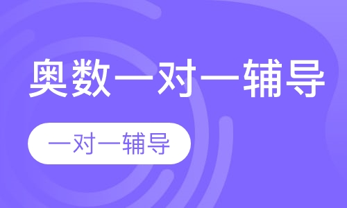 奥数一对一上门辅导