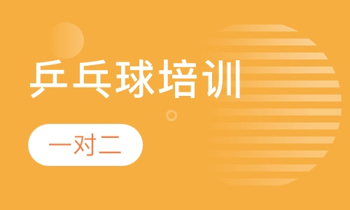 乒乓球一对二