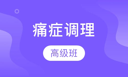 痛症调理高级班