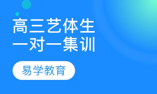 高三艺体生全日制一对一集训