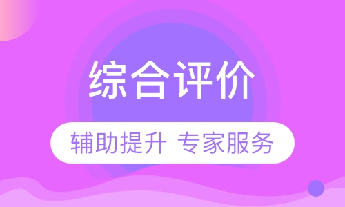 综合评价