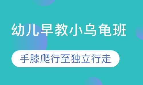 幼儿早教小乌龟班