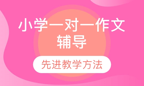小学一对一作文辅导