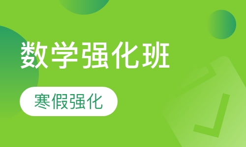 数学寒假强化班