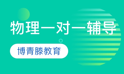 物理一对一辅导