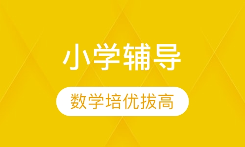 小学数学培优课程